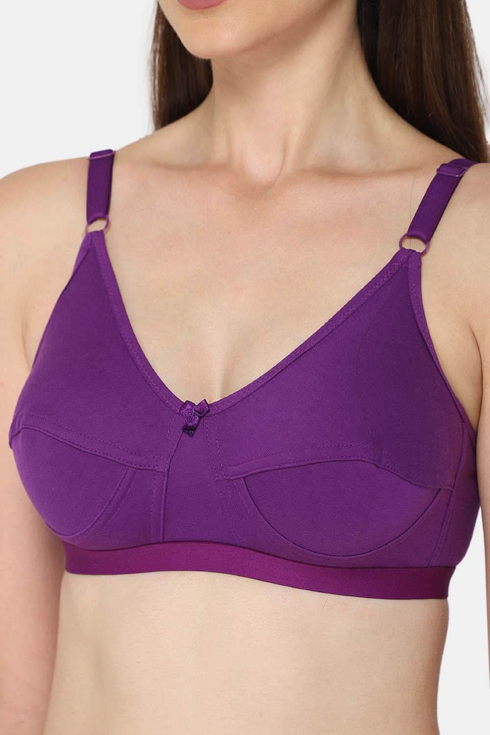 Intimacy Saree Bra Special Combo Pack – Elegant and Comfortable Bras for Saree Wearers (INT01 - C42) - Naidu Hall Family Store