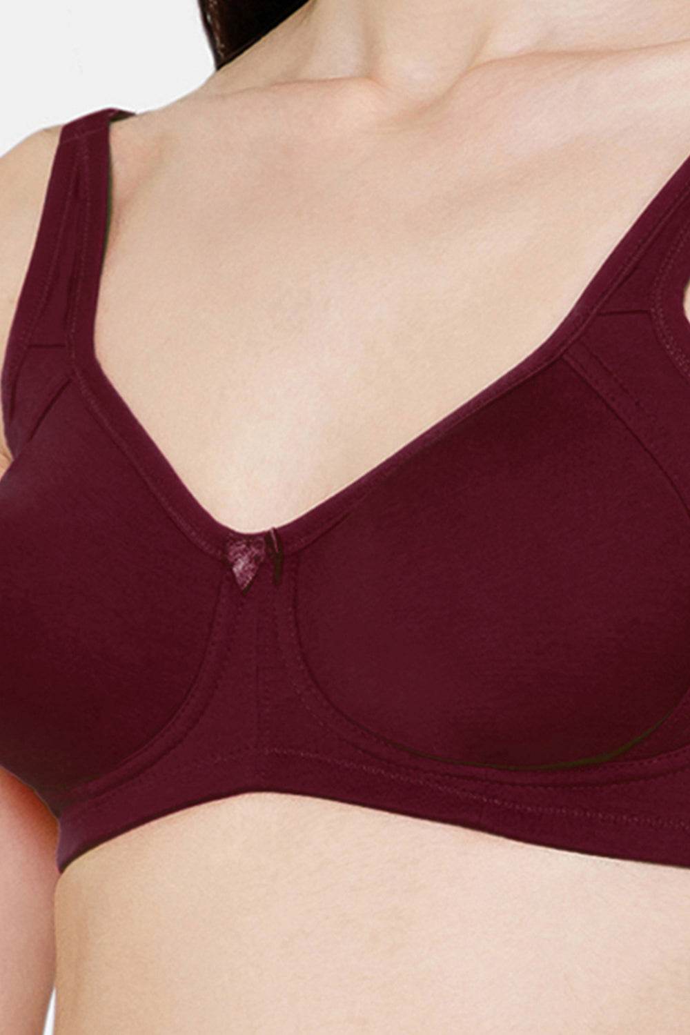 High Coverage Non-Wired Non-Padded Intimacy T-Shirt Bra Other Shades- DEFM - Naidu Hall Family Store