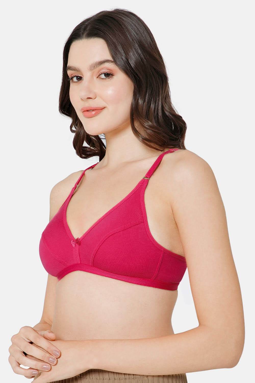 Intimacy Saree Bra Special Combo Pack - IN27 - C38 - Naidu Hall Family Store