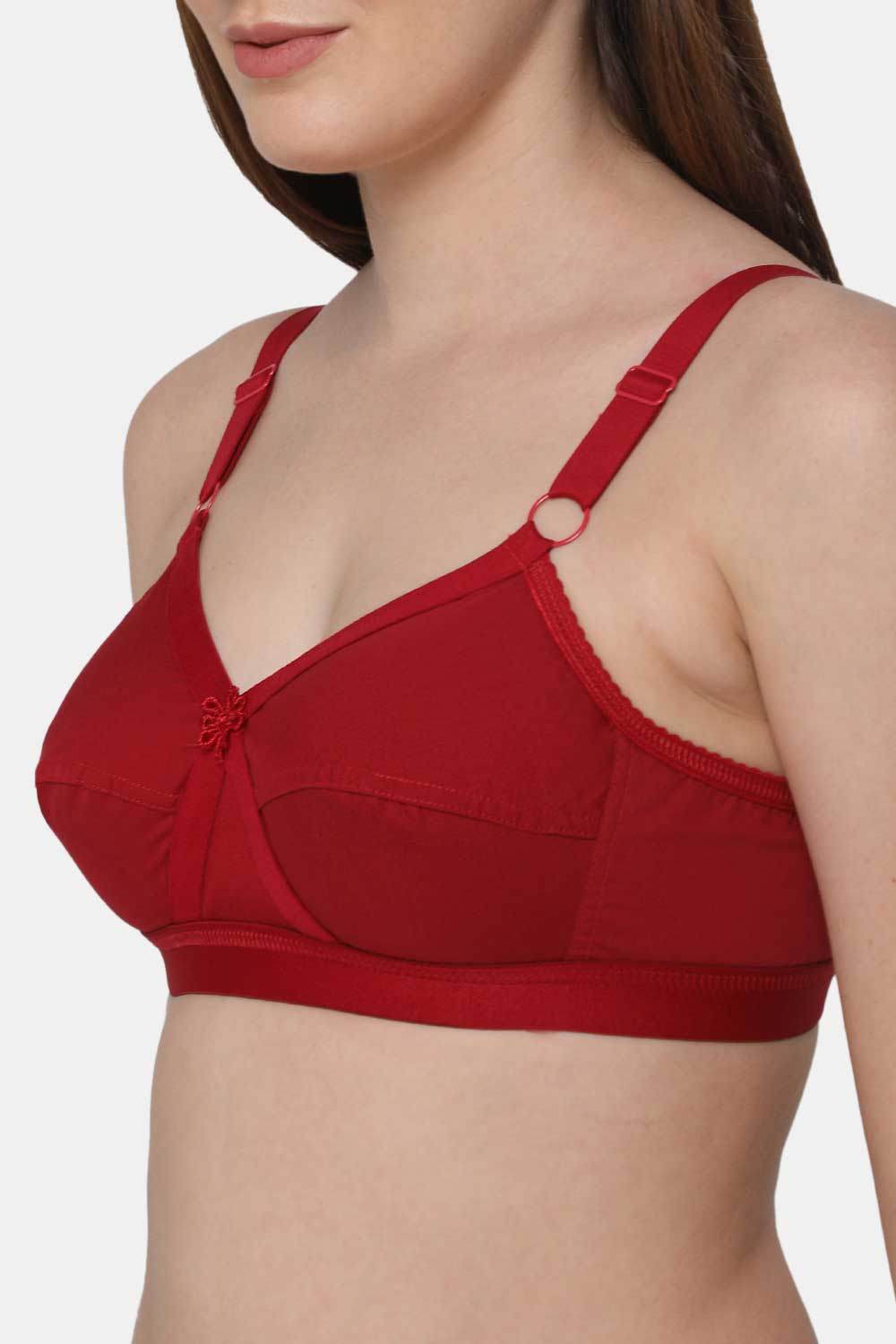 Intimacy Def-Bra Special Combo Pack for Full-Figure Women – Comfortable and Supportive Bras (C40) - Naidu Hall Family Store