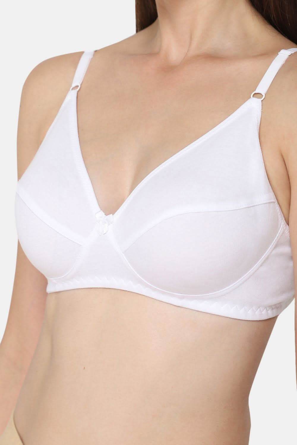 Intimacy Saree Bra Special Combo Pack – Elegant and Comfortable Bras for Perfect Saree Fit (INT05 - C43) - Naidu Hall Family Store