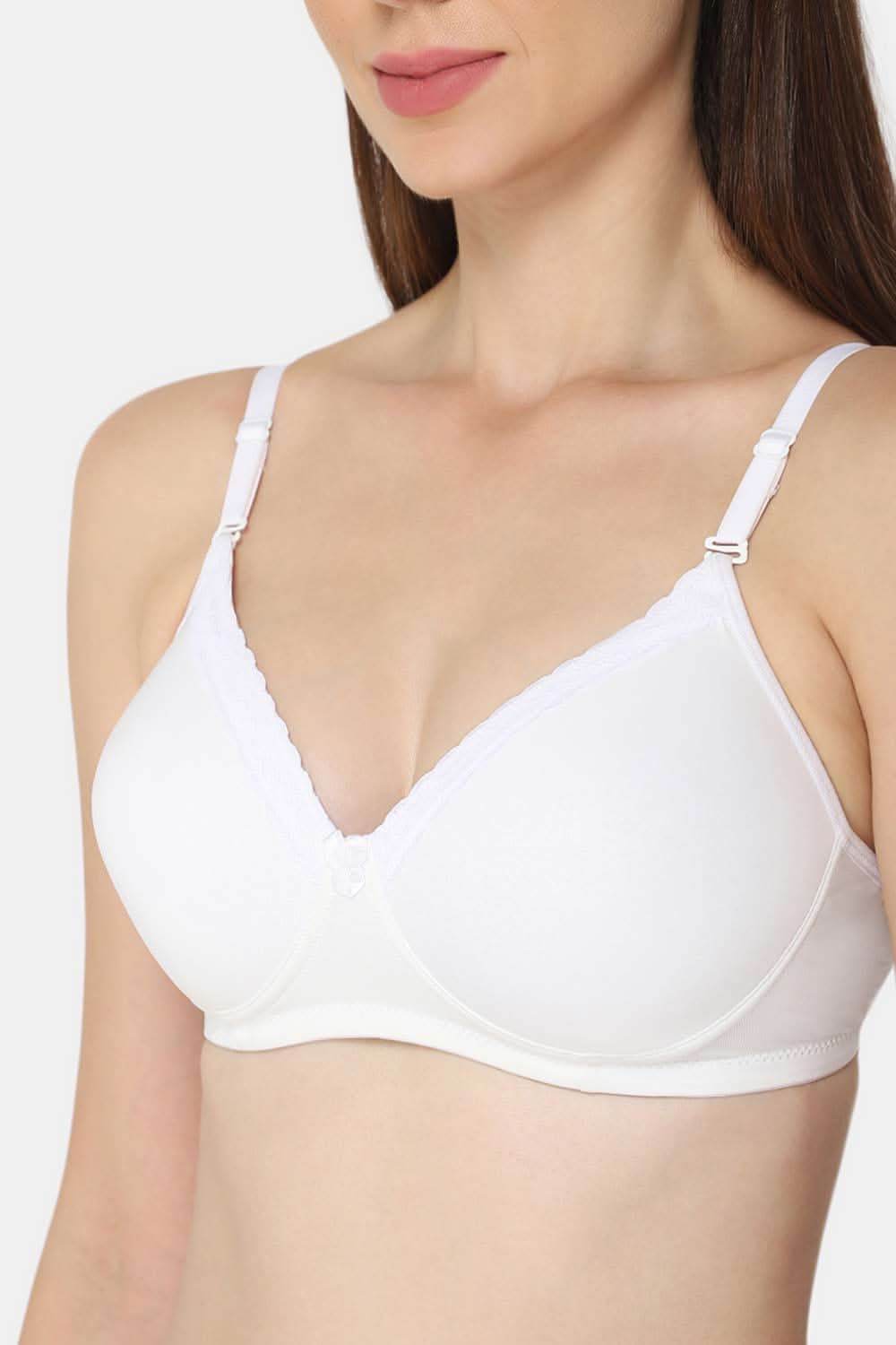 Intimacy Trendy Bra Combo Pack – Stylish and Comfortable Everyday Wear with Supportive Fit (UC05 - C02) - Naidu Hall Family Store