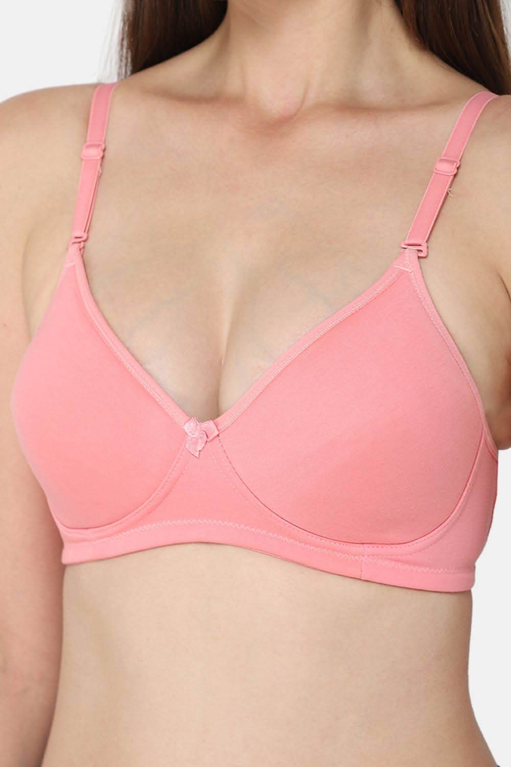 Intimacy Everyday Bra Special Combo Pack – Comfortable, Supportive Bras for Daily Wear (EC06 - C67) - Naidu Hall Family Store