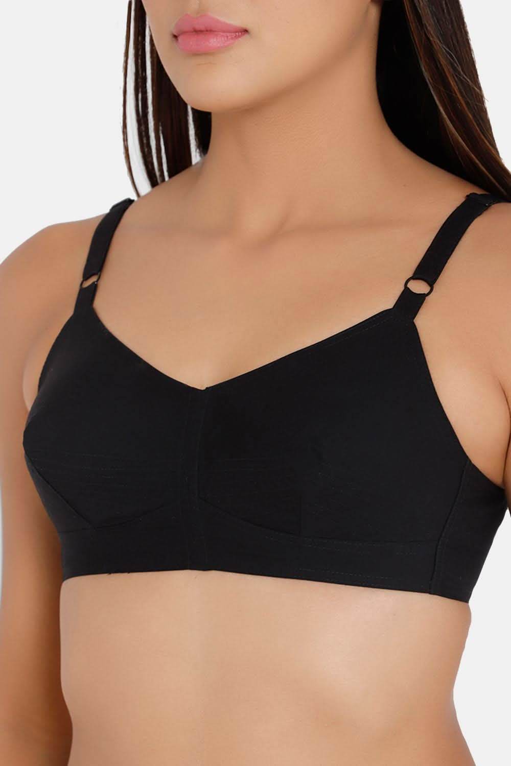 Naidu Hall Heritage Bra Combo Pack – Elegant and Supportive Bras for Everyday Comfort (E-SB, C63) - Naidu Hall Family Store