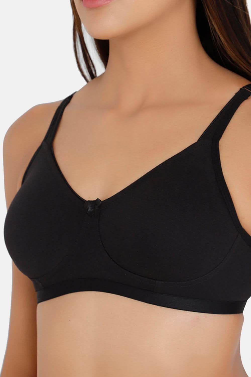 Intimacy Everyday-Bra Special Combo Pack - EC06 - C02 - Naidu Hall Family Store