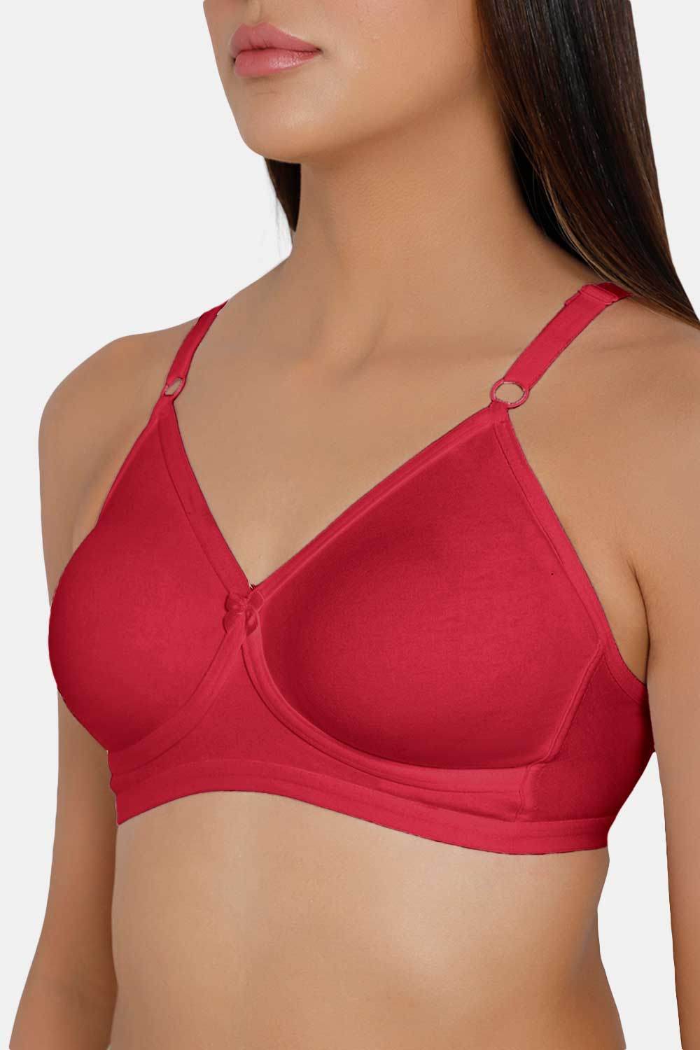 Naidu Hall Classi Knitwear Bra Combo Pack – Soft, Stylish, and Comfortable Everyday Essentials for Women (C44) - Naidu Hall Family Store