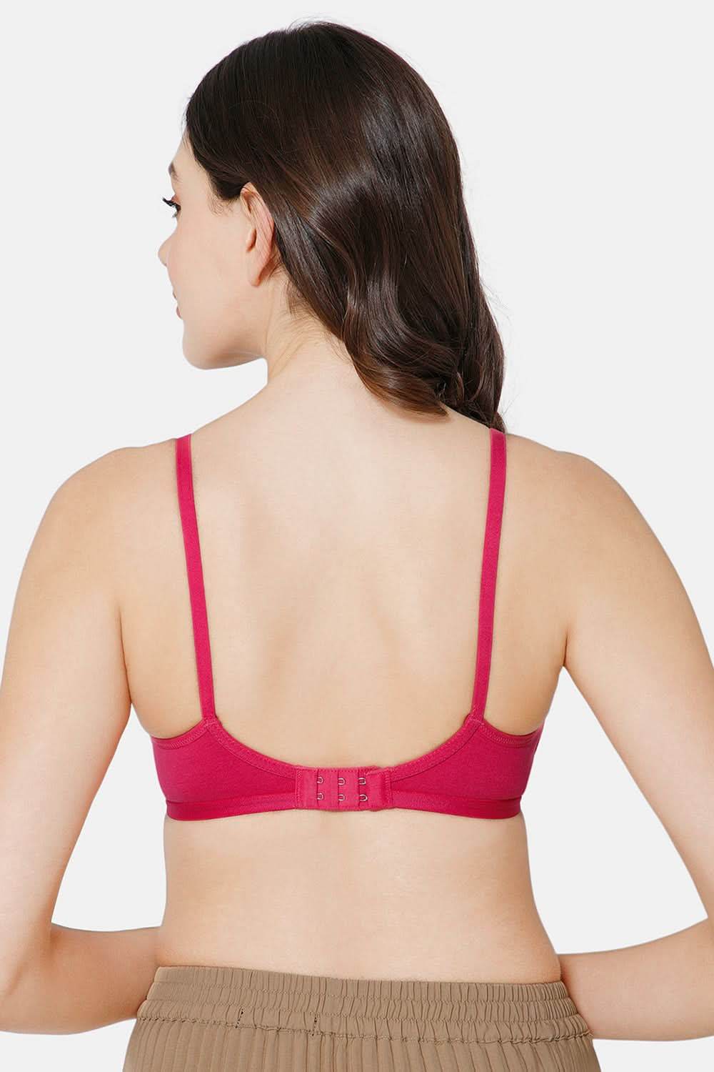 Intimacy Saree Bra Special Combo Pack - IN27 - C38 - Naidu Hall Family Store