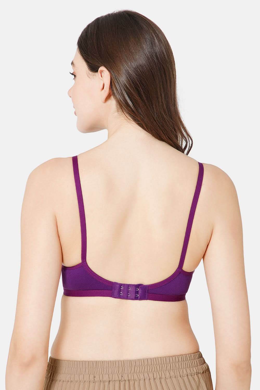 Intimacy Saree Bra Special Combo Pack - IN27 - C34 - Naidu Hall Family Store