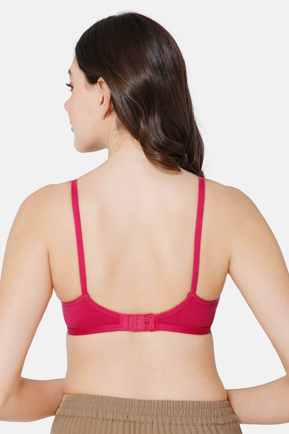 Intimacy Saree Bra Special Combo Pack - IN27 - C66 - Naidu Hall Family Store