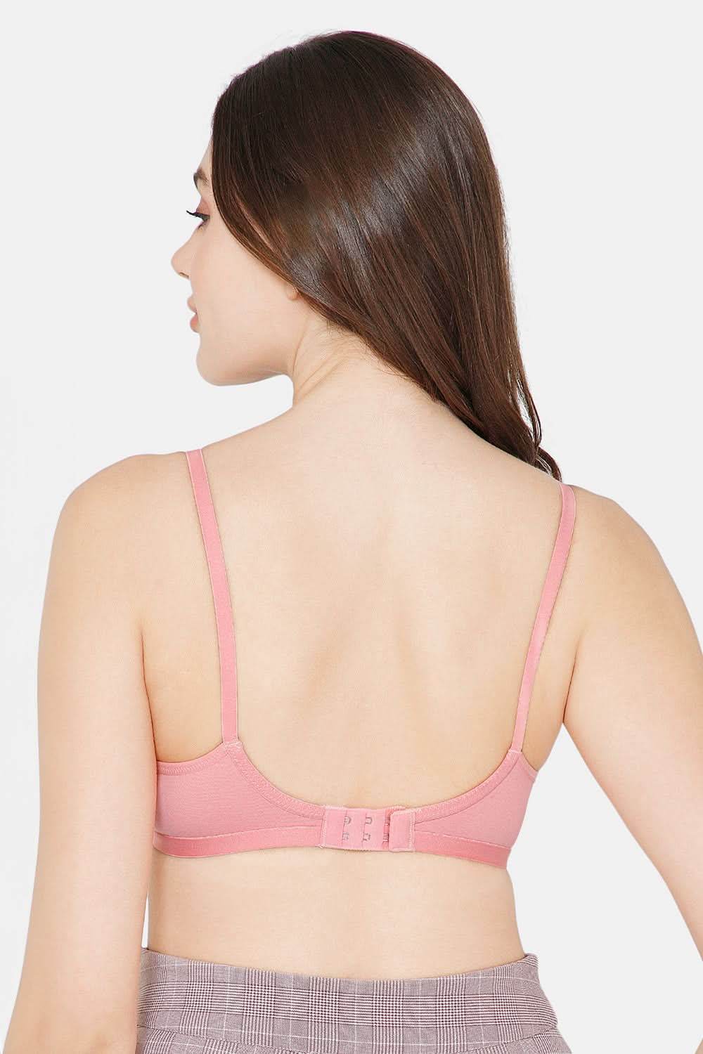 Intimacy Saree Bra Special Combo Pack - IN27 - C67 - Naidu Hall Family Store