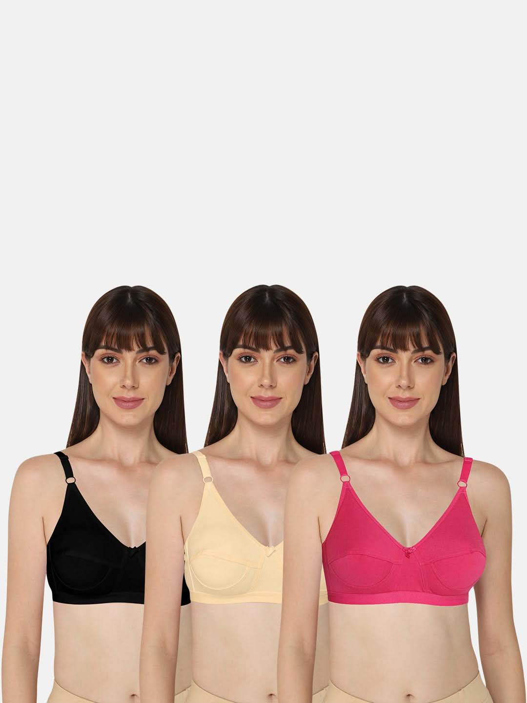 Intimacy Saree Bra Special Combo Pack – Elegant and Comfortable Support for Saree Wearers (INT01 - C66) - Naidu Hall Family Store