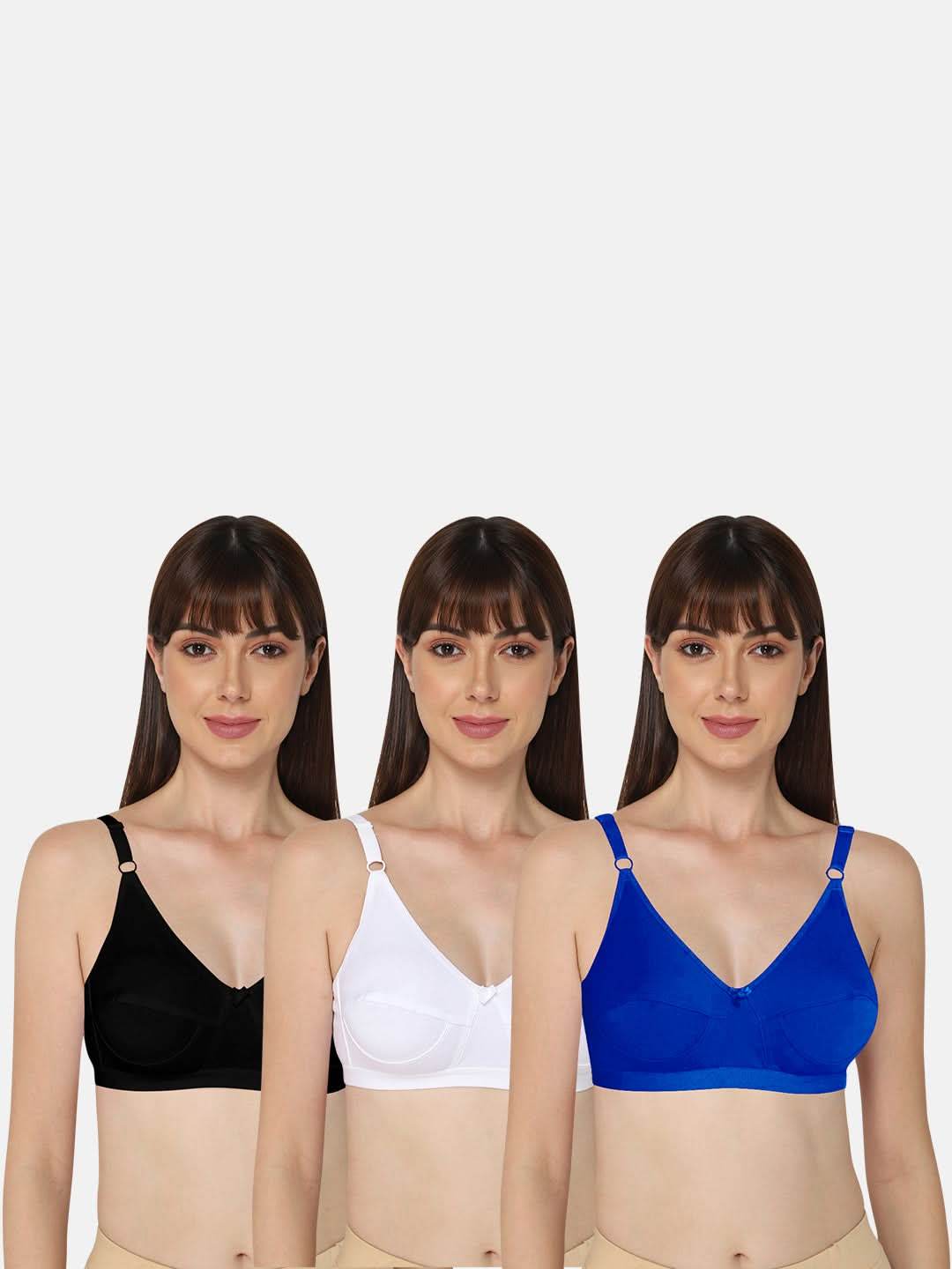 Intimacy Saree Bra Special Combo Pack – Elegant and Comfortable Fit for Every Saree Occasion (INT01 - C43) - Naidu Hall Family Store