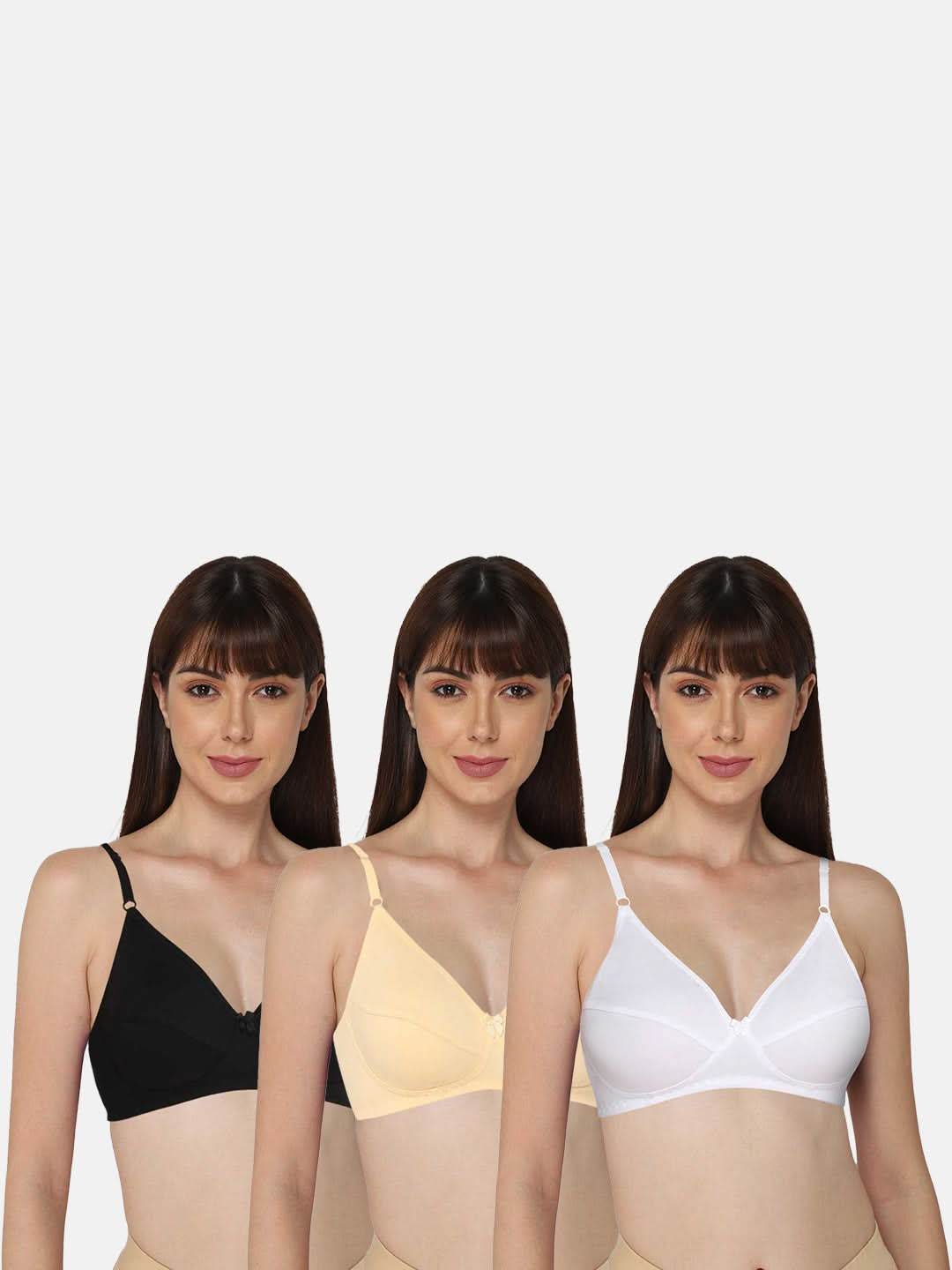 Intimacy Saree Bra Special Combo Pack – Comfortable and Stylish Support for Saree Wearers (INT05 - C63) - Naidu Hall Family Store