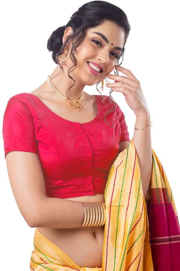 Naidu Hall Princess Cut Short Sleeve Front Open Silk Cotton Blouse - Naidu Hall Family Store