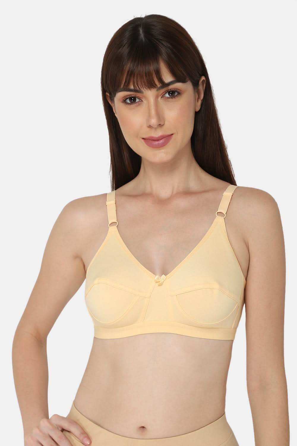 Intimacy Saree Bra Special Combo Pack - IN01 - C35 - Naidu Hall Family Store
