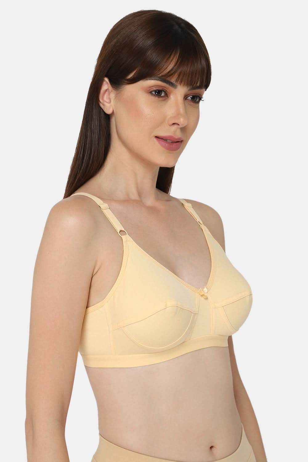 Intimacy Saree Bra Special Combo Pack - IN01 - C67 - Naidu Hall Family Store