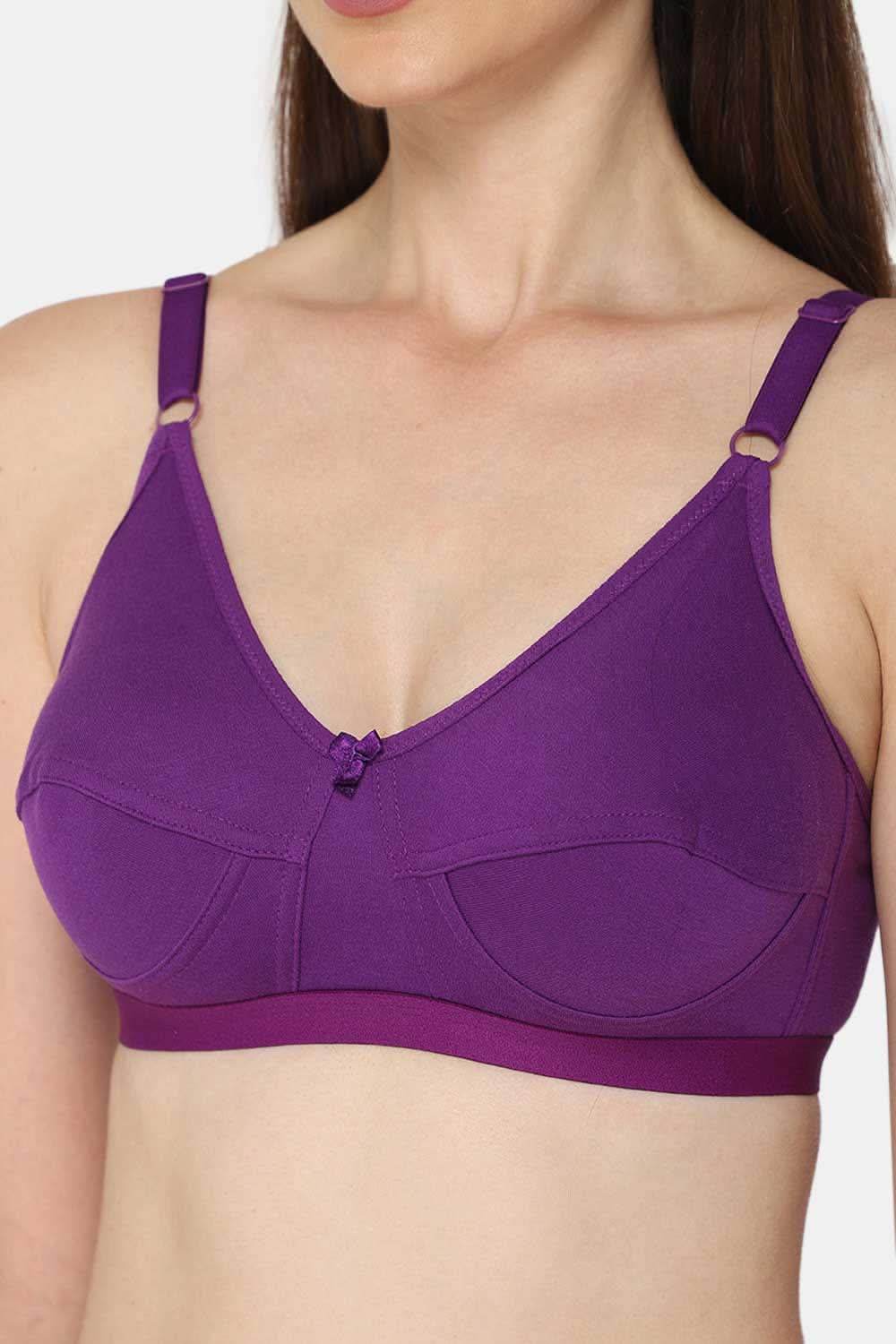 Full Coverage Non-Padded Non-Wired Ethnic Wear Intimacy Saree Bra - INT01 - Other Colors - Naidu Hall Family Store