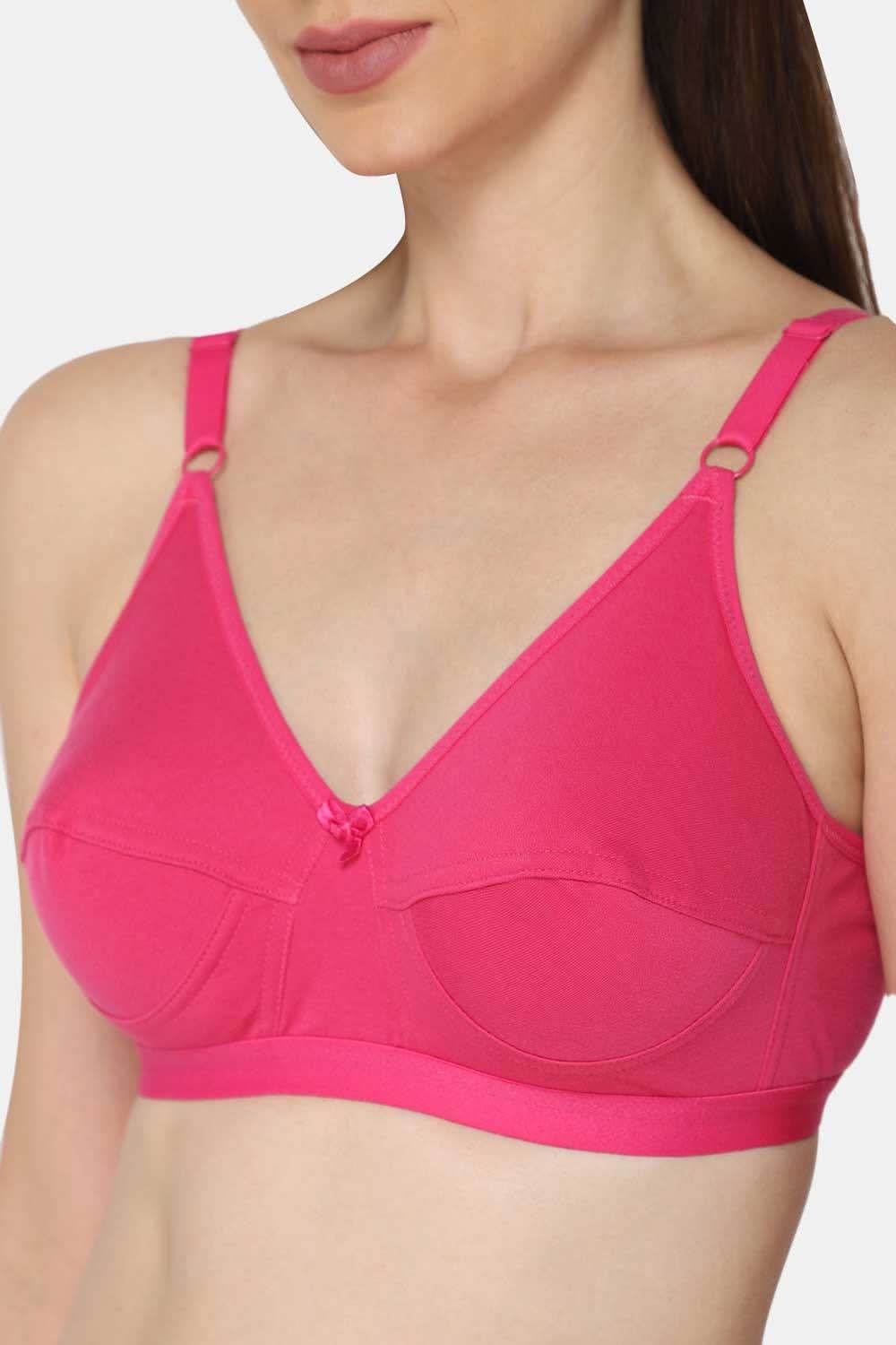 Full Coverage Non-Padded Non-Wired Ethnic Wear Intimacy Saree Bra - INT01 - Other Colors - Naidu Hall Family Store
