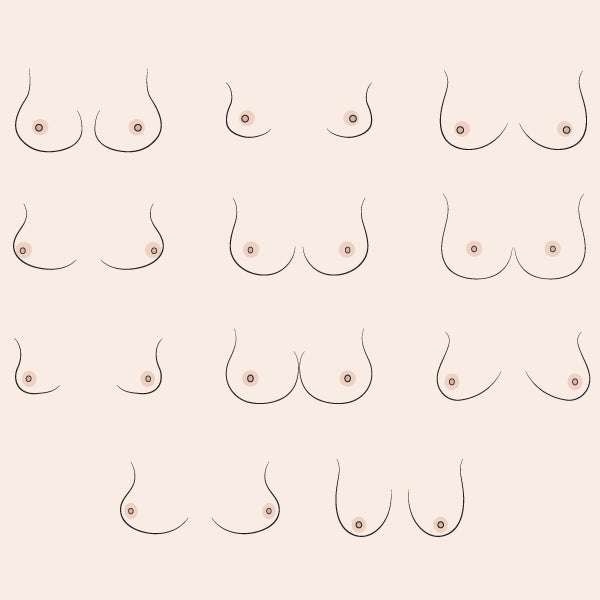 ALL ABOUT SHAPE OF BREAST