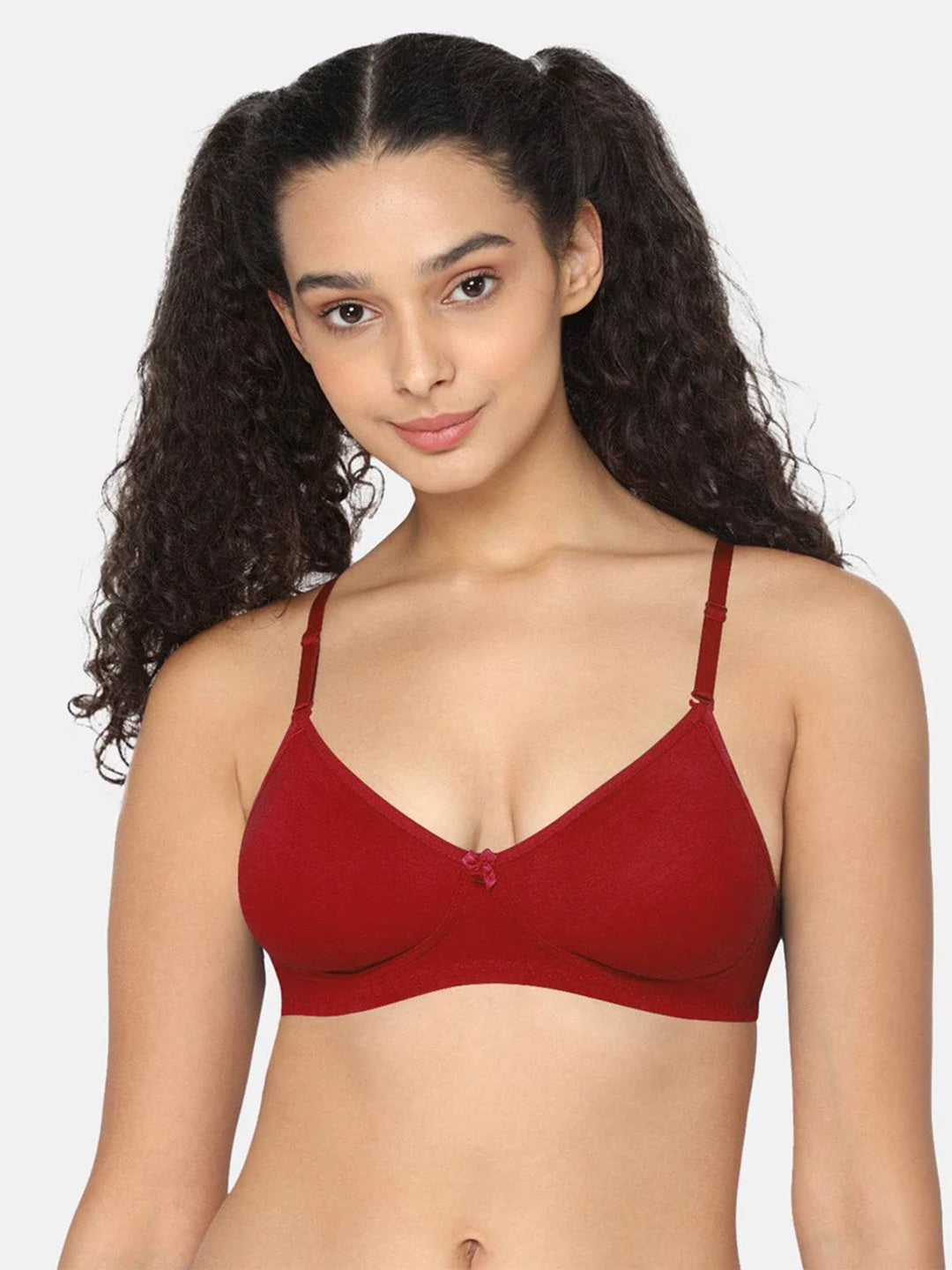 Fashionable Non-Wired Non-Padded Back Closure Intimacy Everyday T-Shirt Bra - Blue Shades - ES06