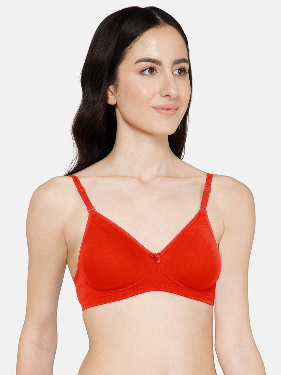 Fashionable Non-Wired Non-Padded Back Closure Intimacy Everyday T-Shirt Bra - Blue Shades - ES06