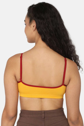 Intimacy Beginners-Bra Special Combo Pack - BB01 - C49
