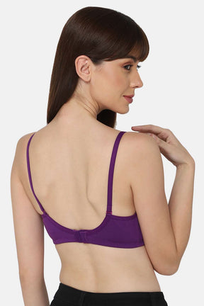 Intimacy Everyday-Bra Special Combo Pack - EC06 - C42