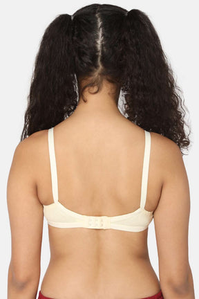 Naidu Hall Heritage-Bra Special Combo Pack - Lovable - C34