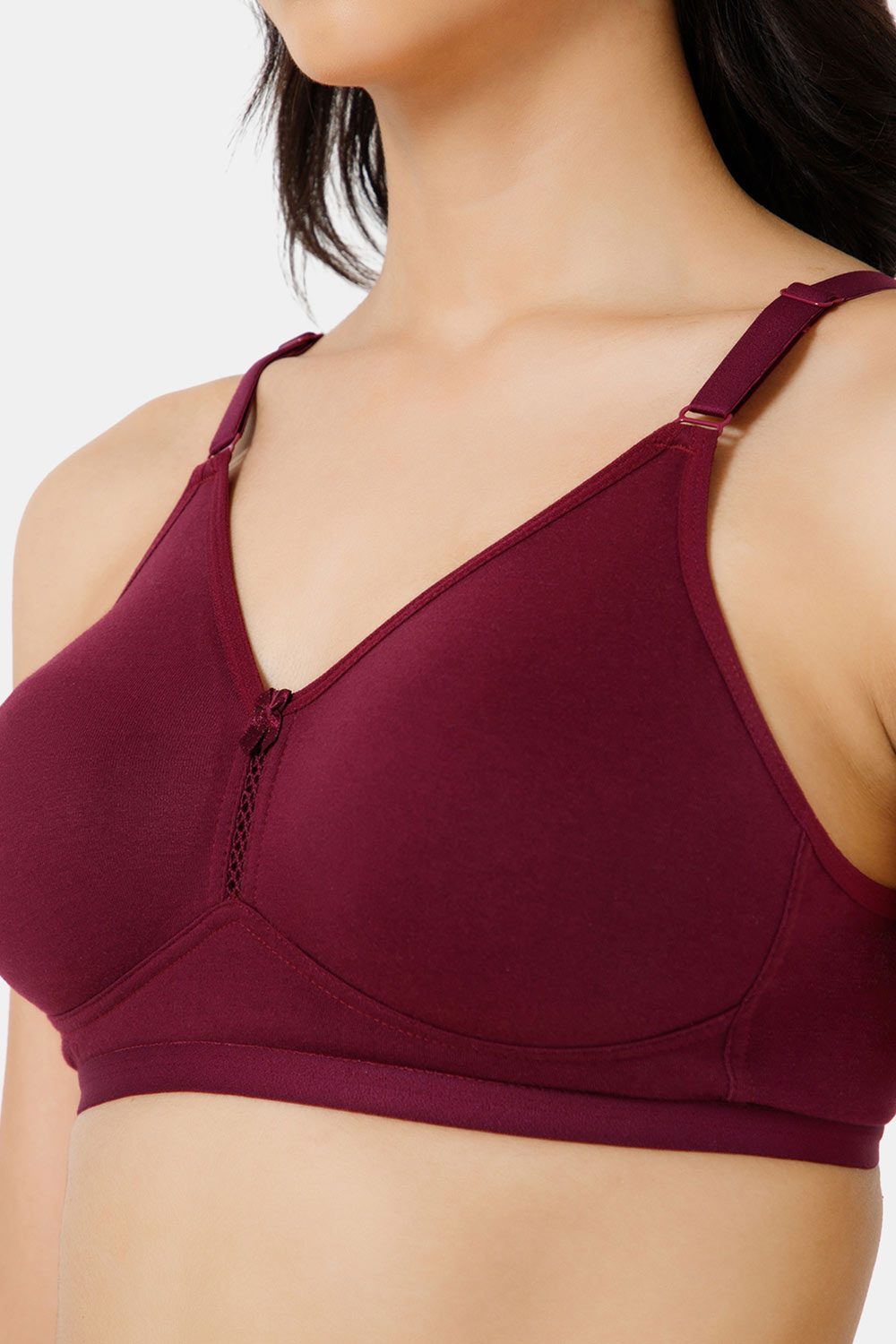 Naidu Hall High Coverage Non-Wired Everyday T-Shirt Bra-Wine