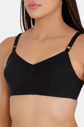 Naidu Hall Heritage-Bra Special Combo Pack - E-SB - C02