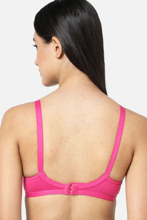 Naidu Hall Knitwear-Bra Special Combo Pack - Pretti - C66