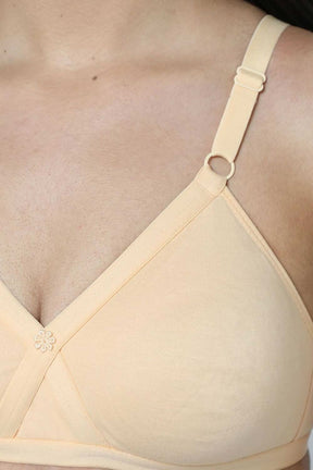 Naidu Hall Knitwear-Bra Special Combo Pack - Pretti - C66