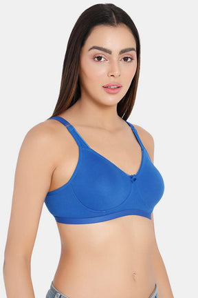 Intimacy Everyday Bra Other Shades - ES21 Size   Blue Color 30B