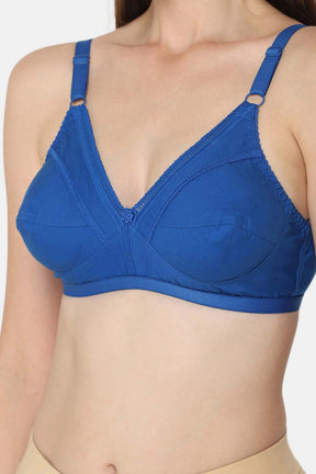 Naiduhall Saree Bra - Naturalle - Other Colors Size   30B Color BLUEATOLL